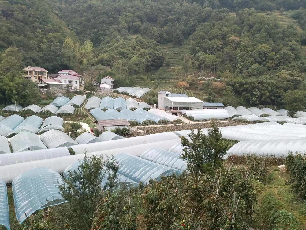 幫蔬菜保溫，讓農(nóng)戶(hù)暖心